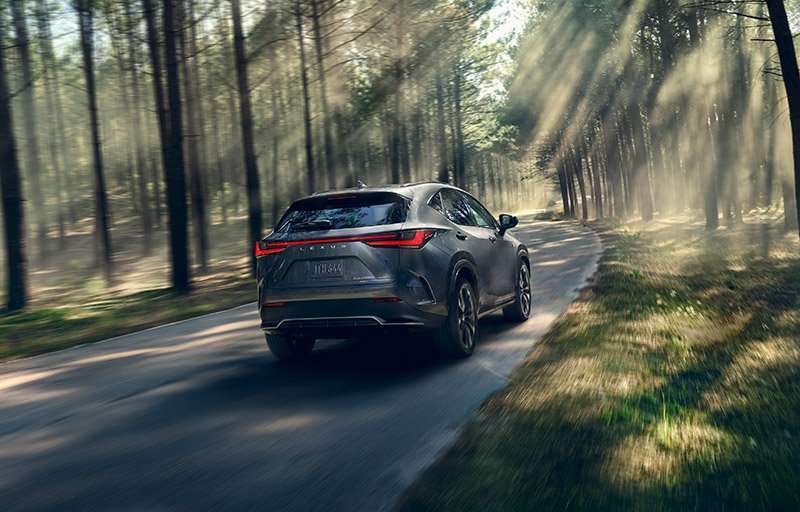 Lexus NX 2022 atras