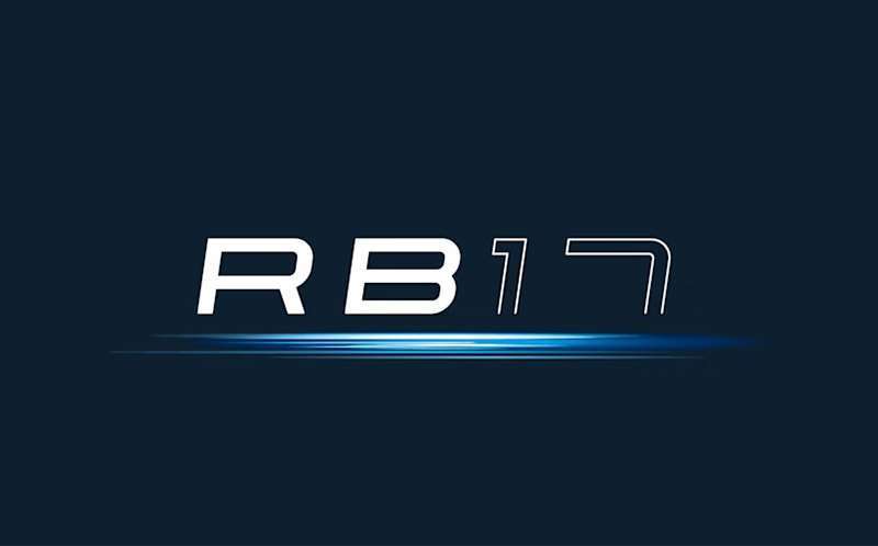 Red Bull RB17 logo
