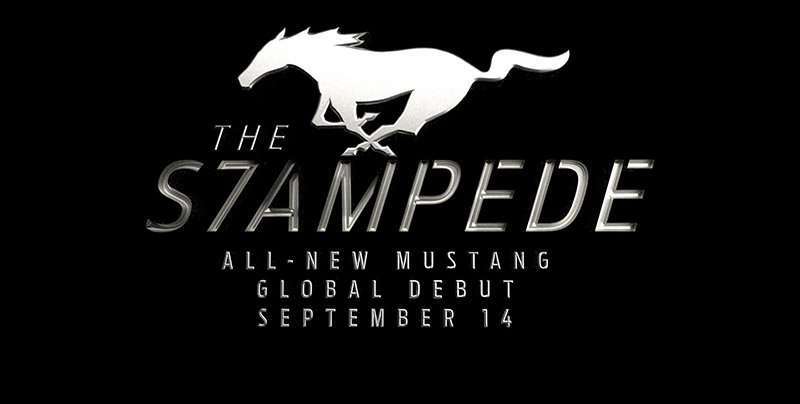 The Stampede