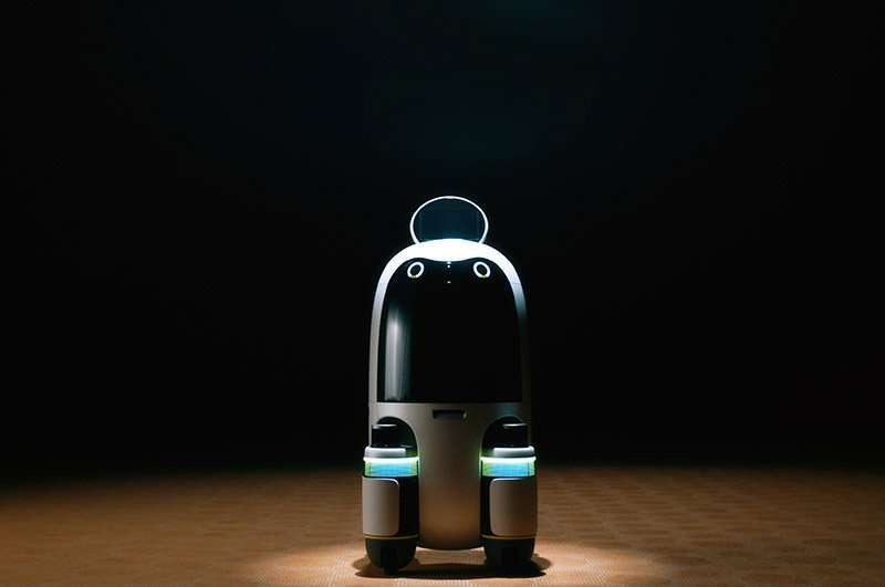 Hyundai Motor Group robots entregas
