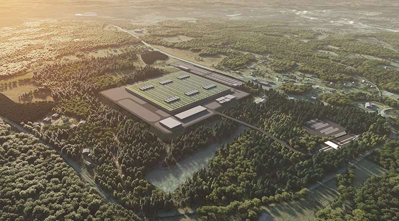 Planta BMW Woodruff