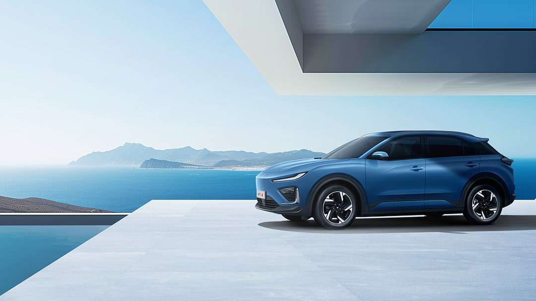Hozon New Energy Automobile NETA X